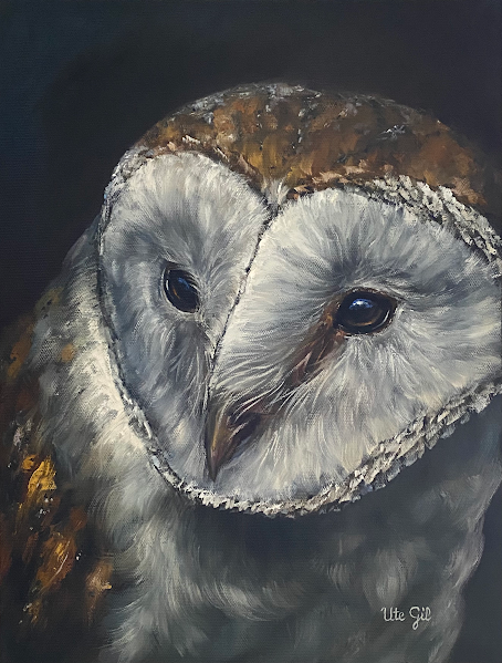 Barn Owl, 16" x 12", oil on canvas, by Ute Gil