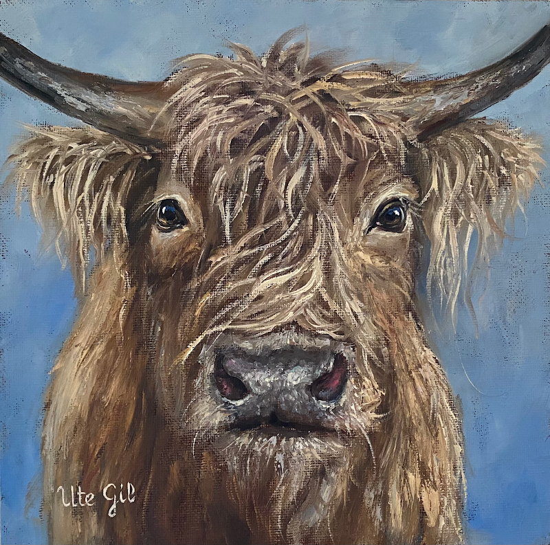Highland Cow, 8" x 8", oil on canvas, by Ute Gil