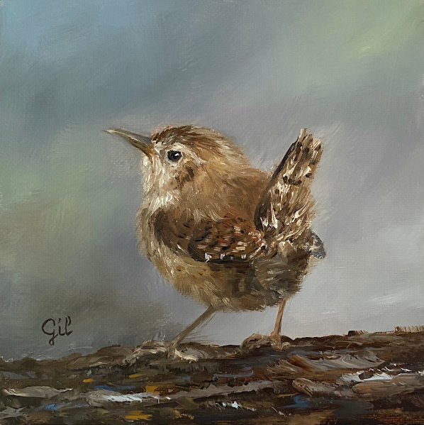 Carolina Wren, 6" x 6", oil on canvas, by Ute Gil