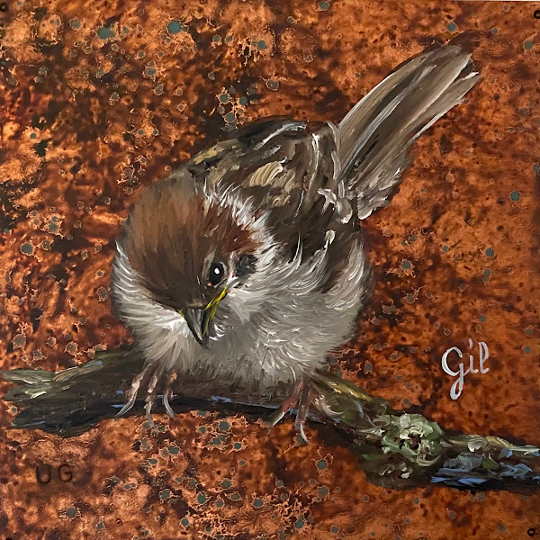 Sparrow, 4" x 4", oil on copper, by Ute Gil